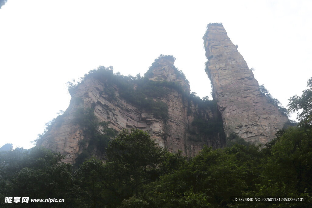 奇峰耸立的山林景观