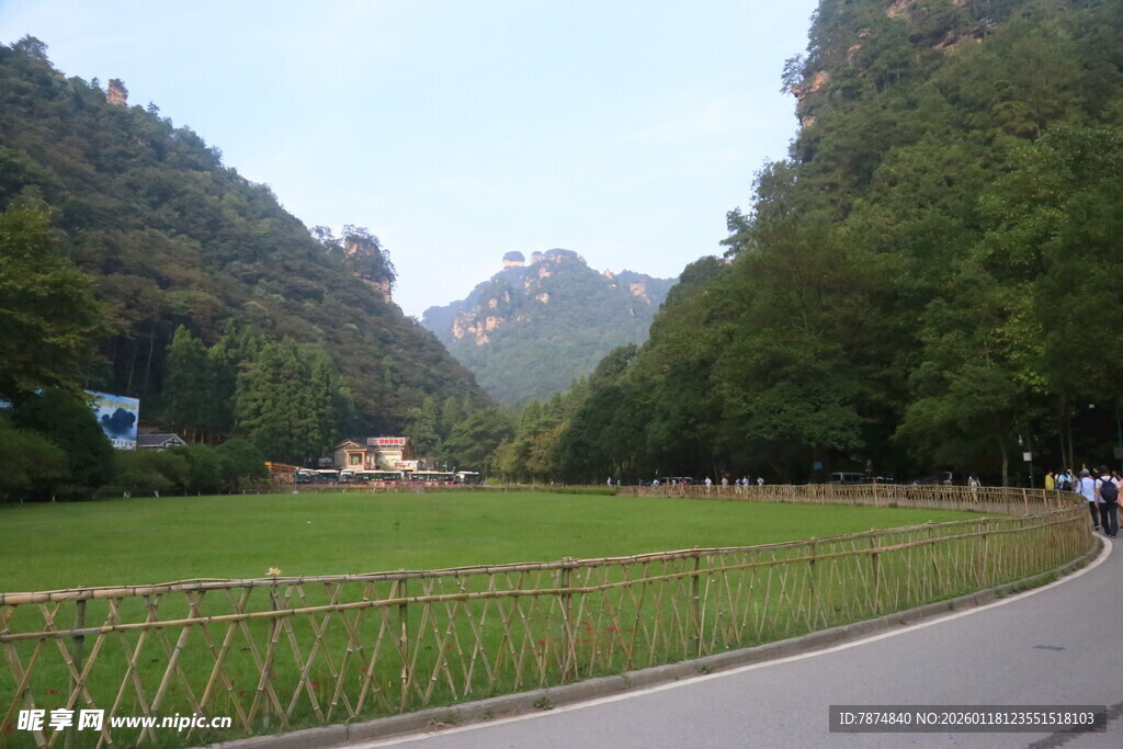 山间公路旁的绿野风光