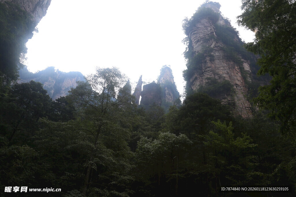 张家界奇峰林立美景