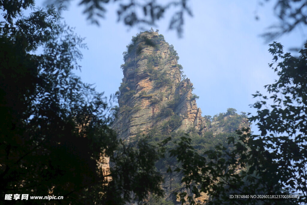 奇峰耸立于林间景观