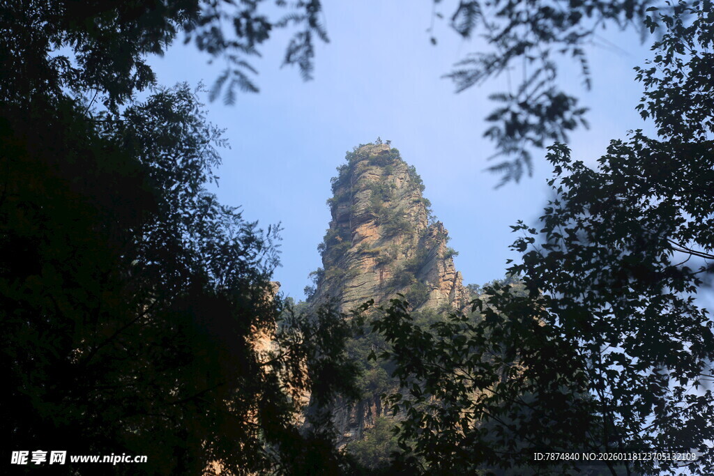 丛林中露出的古老石塔