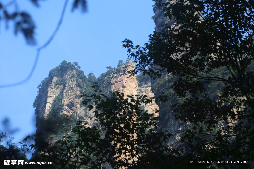 峻峭山峰与繁茂树木