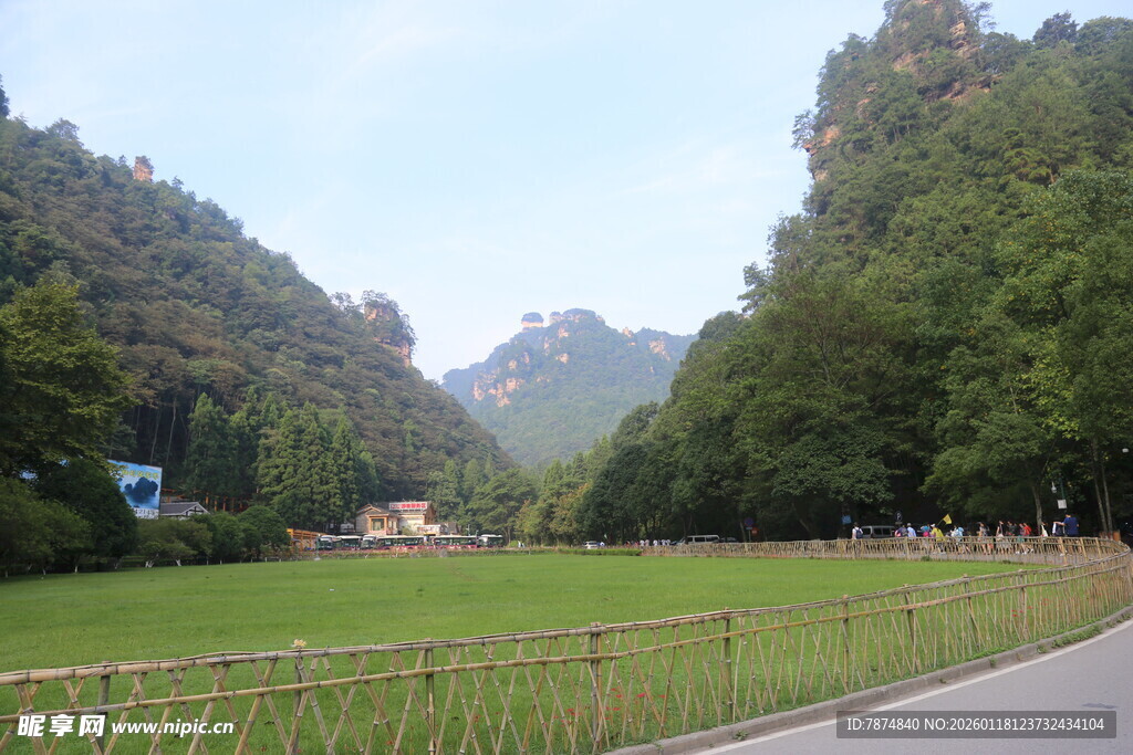 山间公路旁的绿野风光