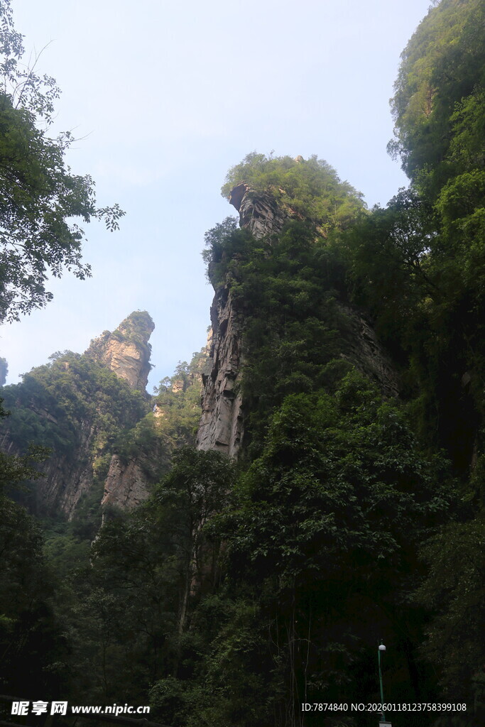 奇峰峻岭间的绿意山林