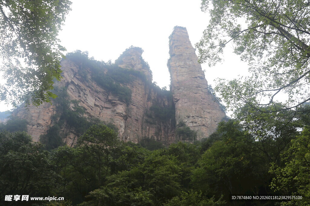 张家界奇峰屹立于山林间