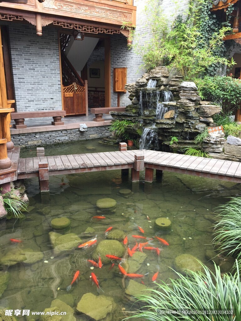 中式庭院中的锦鲤池塘