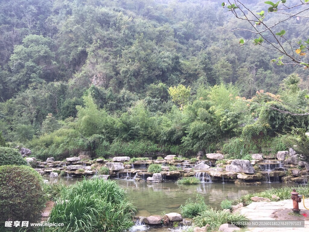 山间溪流畔的绿意景致