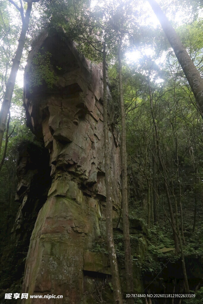 山林中奇特的岩石景观