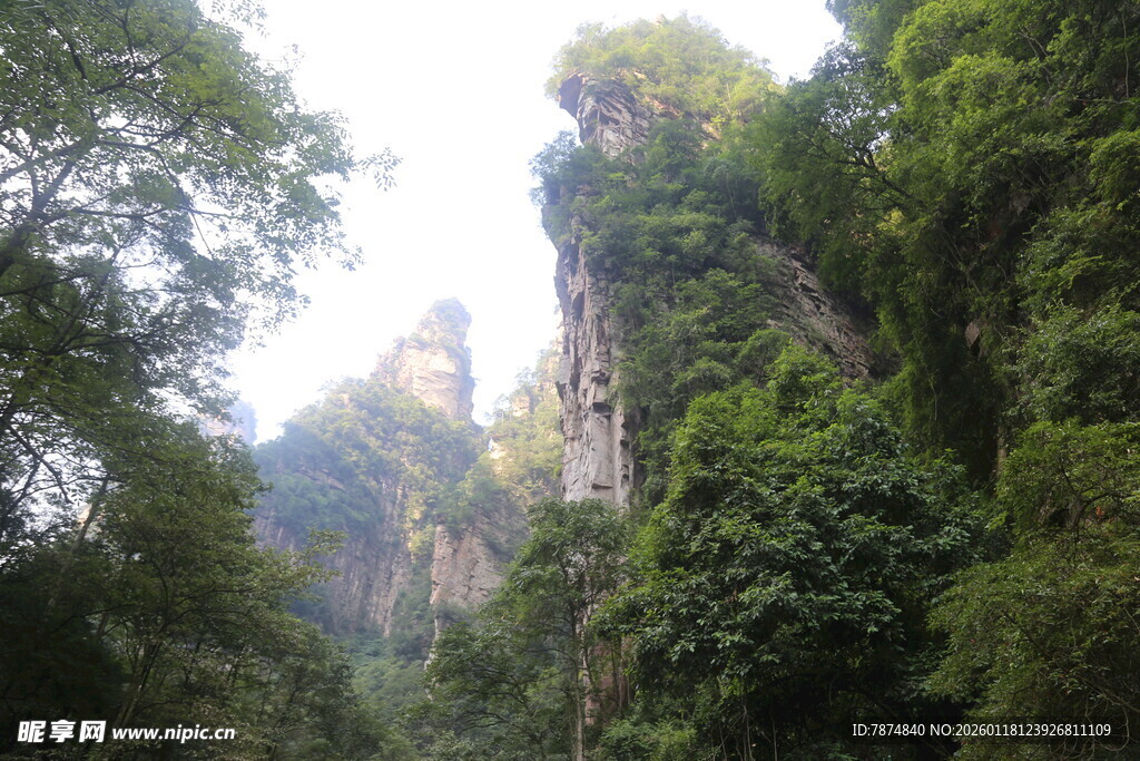 山林间的奇峰异景