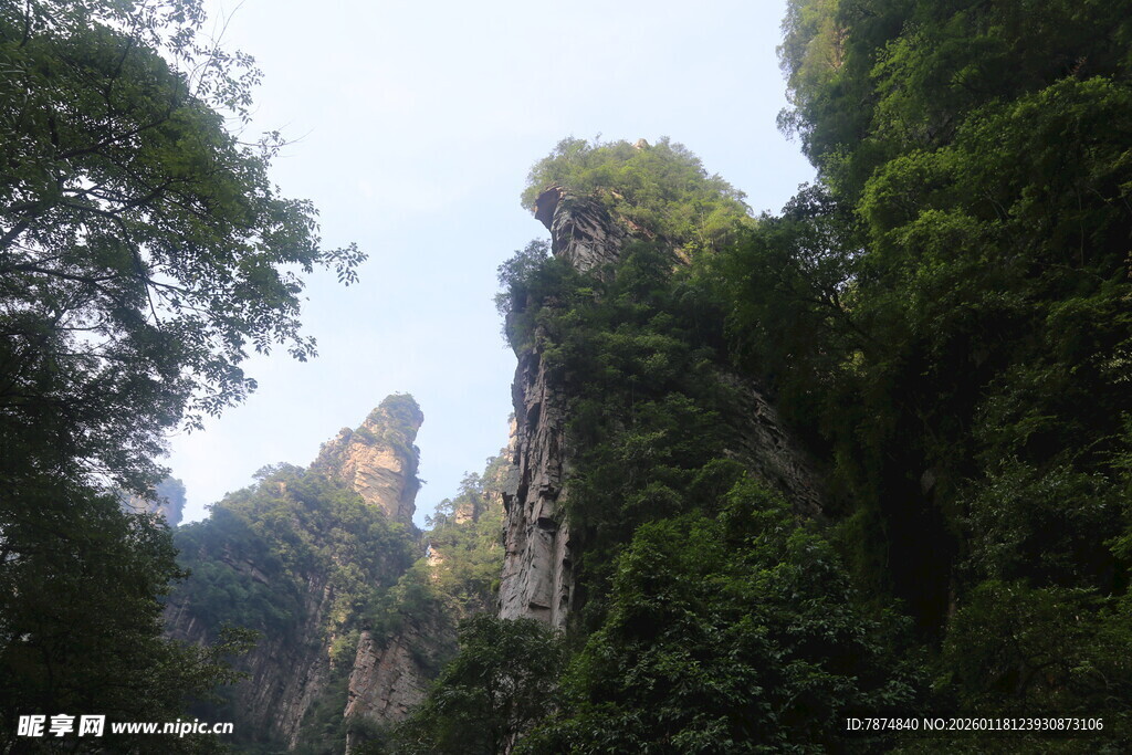 山林奇峰景观