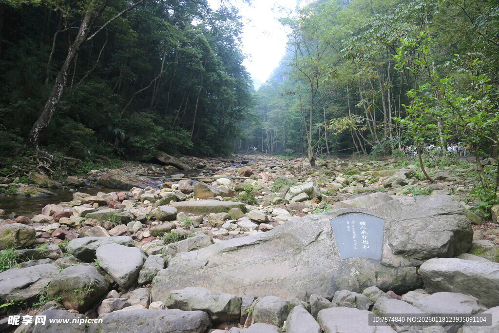 山间乱石遍布的溪流小道