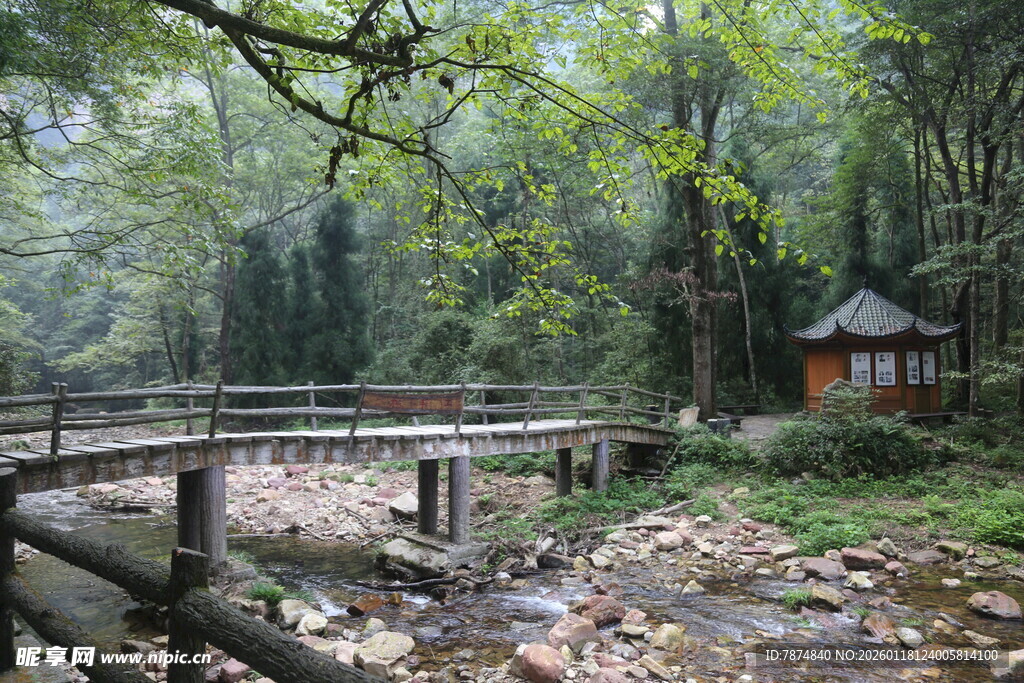 山林间的静谧木桥小屋