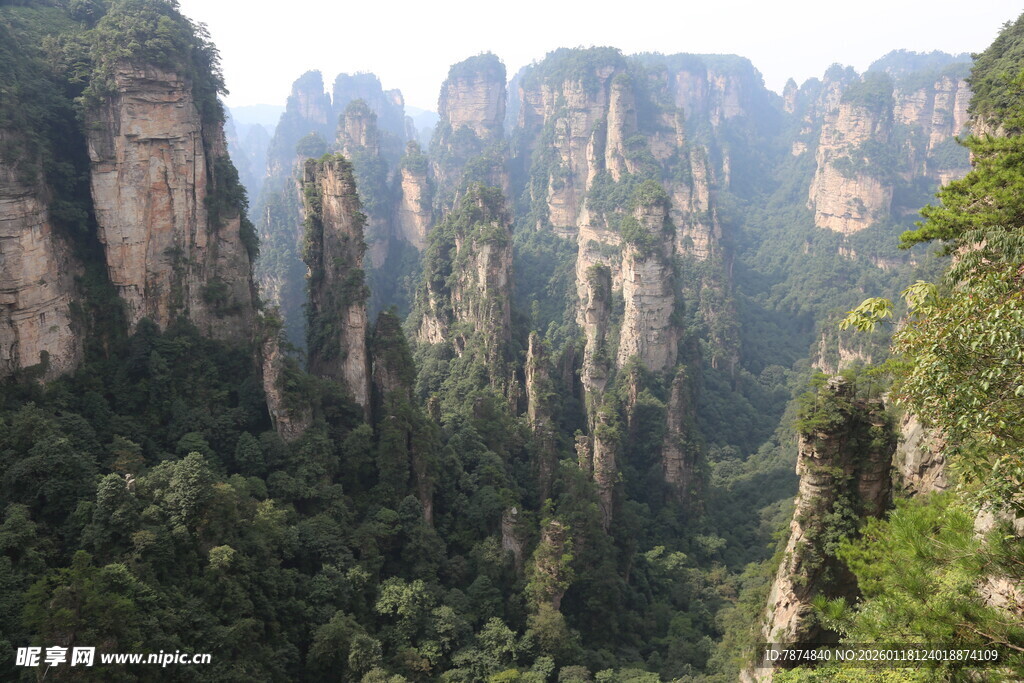 张家界奇峰林立美景