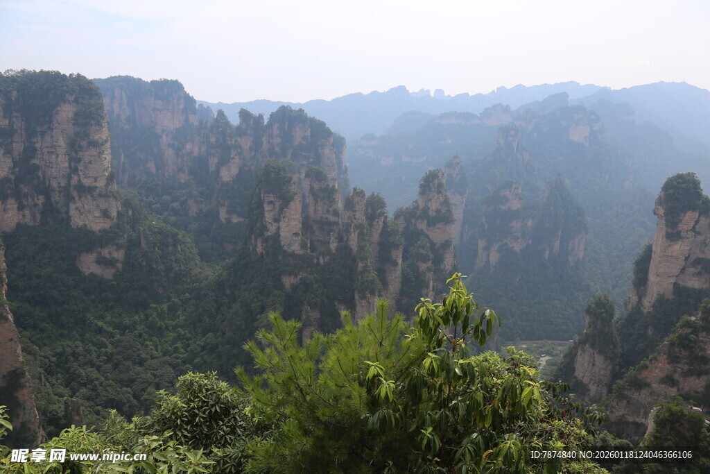 张家界奇峰异石景观