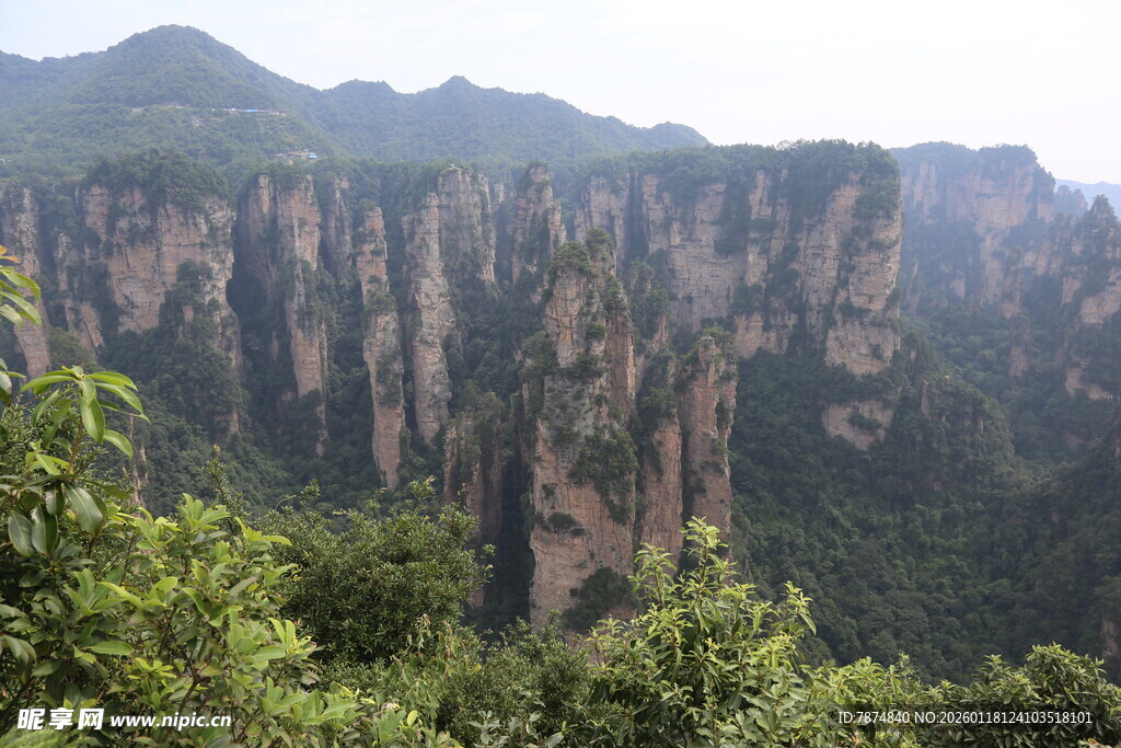 张家界奇峰异景