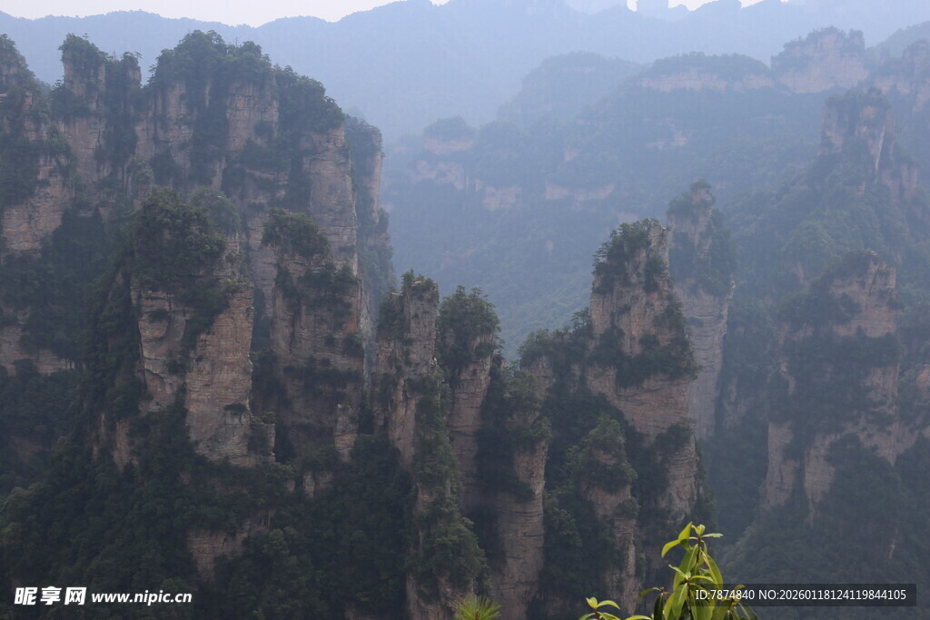 张家界奇峰美景