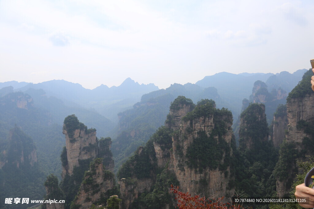 张家界奇峰美景