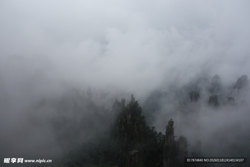 云雾缭绕中的山林美景