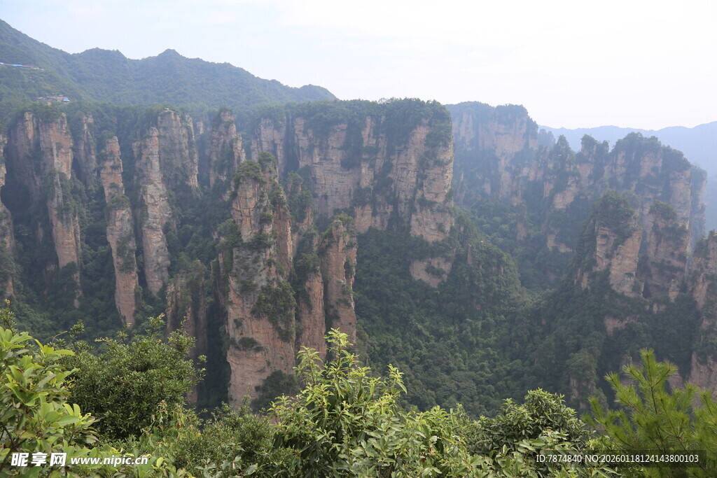 张家界奇峰林立美景