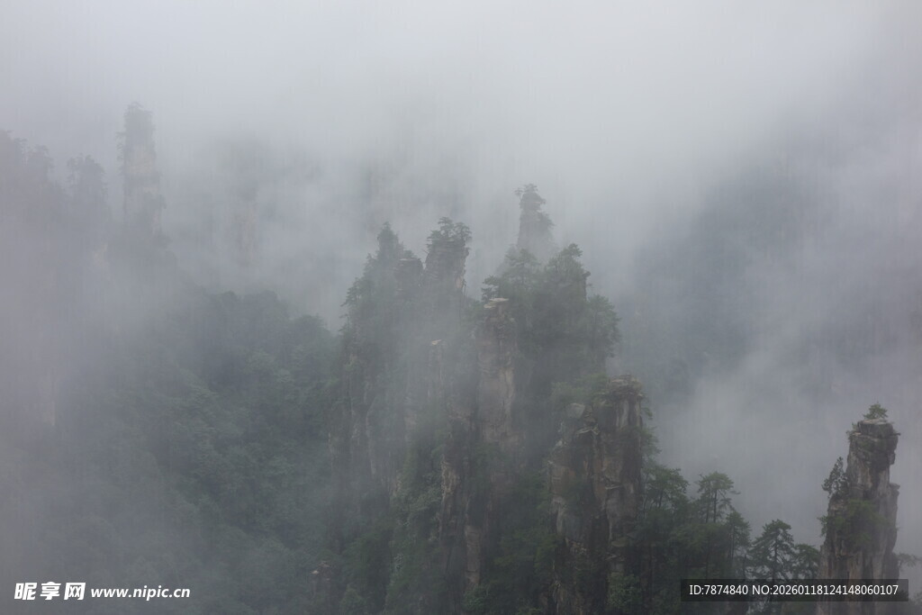 云雾缭绕的壮美山林景观