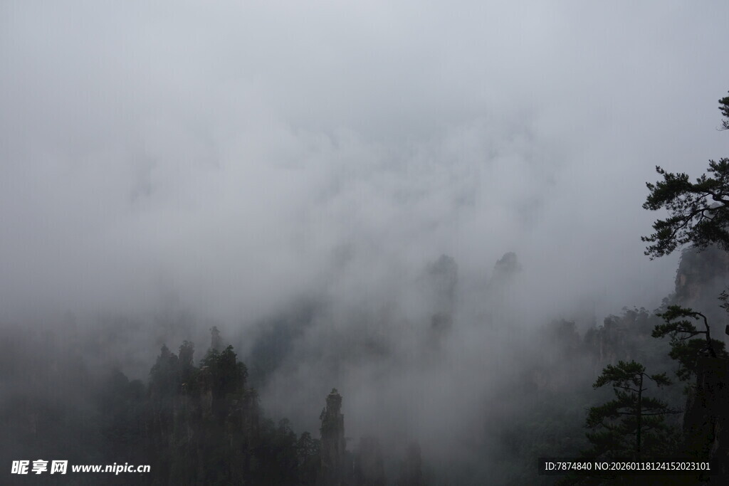 云雾缭绕的山林美景
