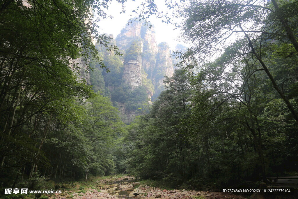 山林间的自然景致