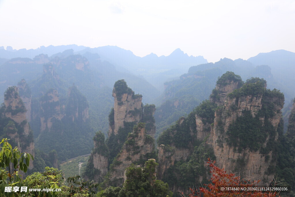 张家界奇峰美景