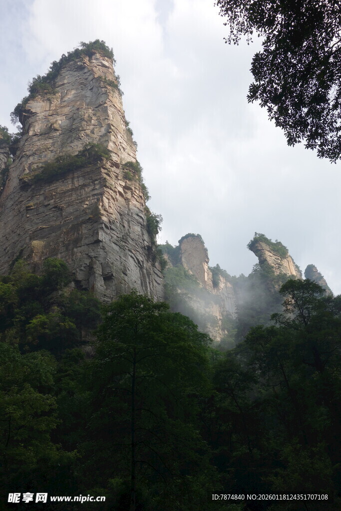 奇峰耸立山林间