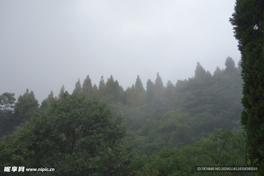 雾中葱郁山林美景