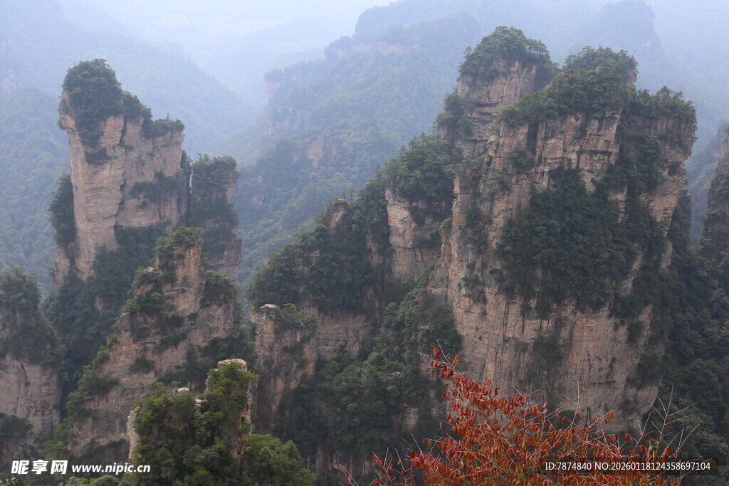 张家界奇峰美景