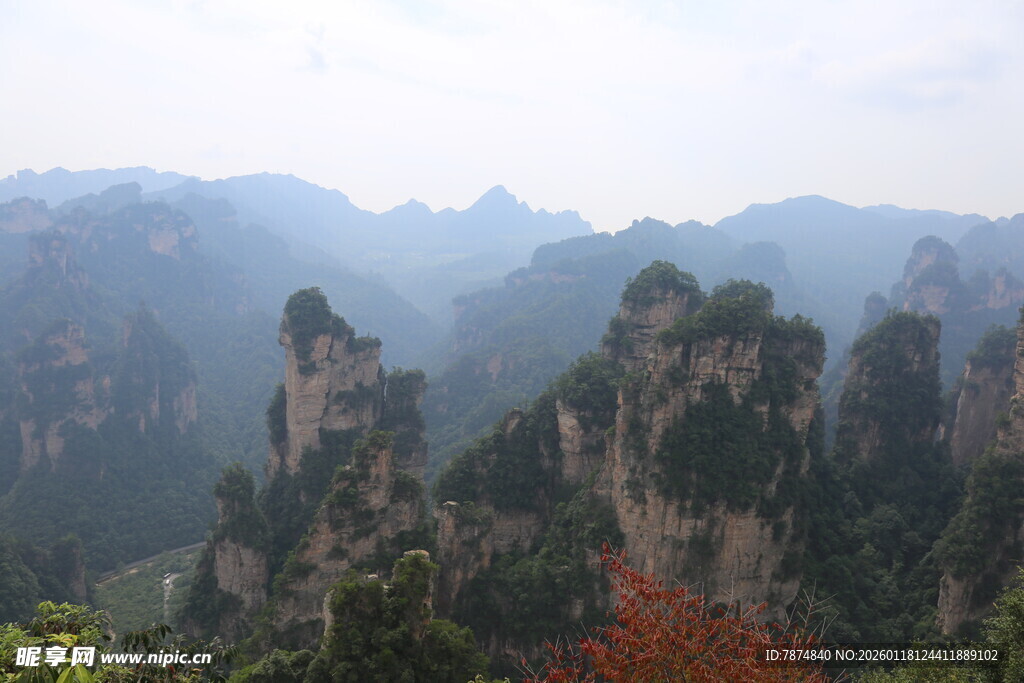 张家界奇峰美景