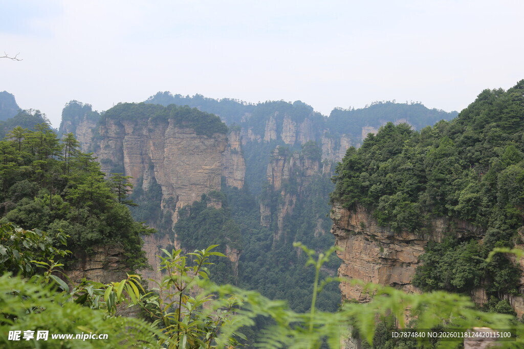 张家界奇峰异石美景