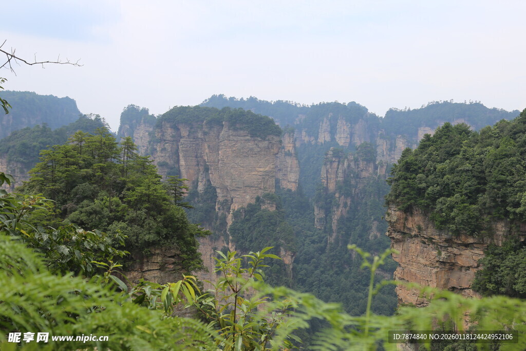 张家界奇峰异景