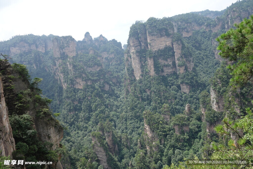 壮丽奇峰张家界景观