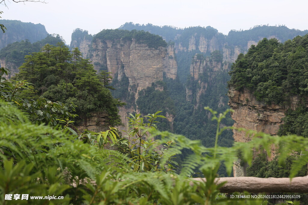 张家界奇峰异景