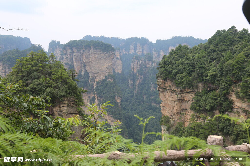 张家界奇峰异景