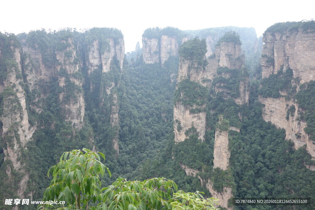 张家界奇峰异石景观
