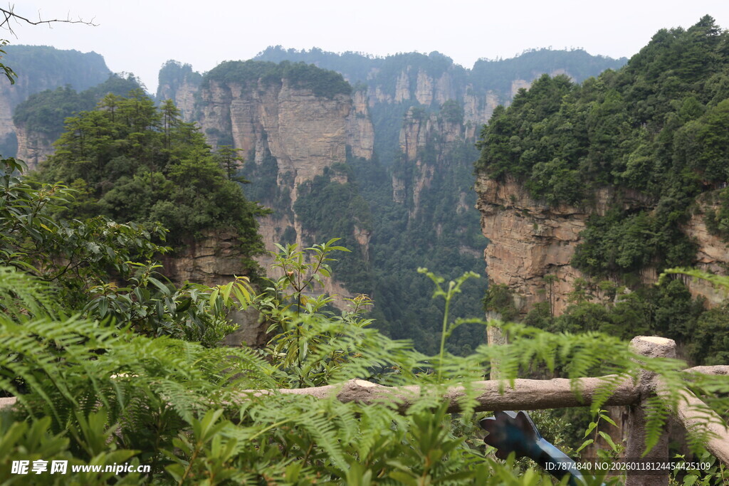 张家界奇峰美景