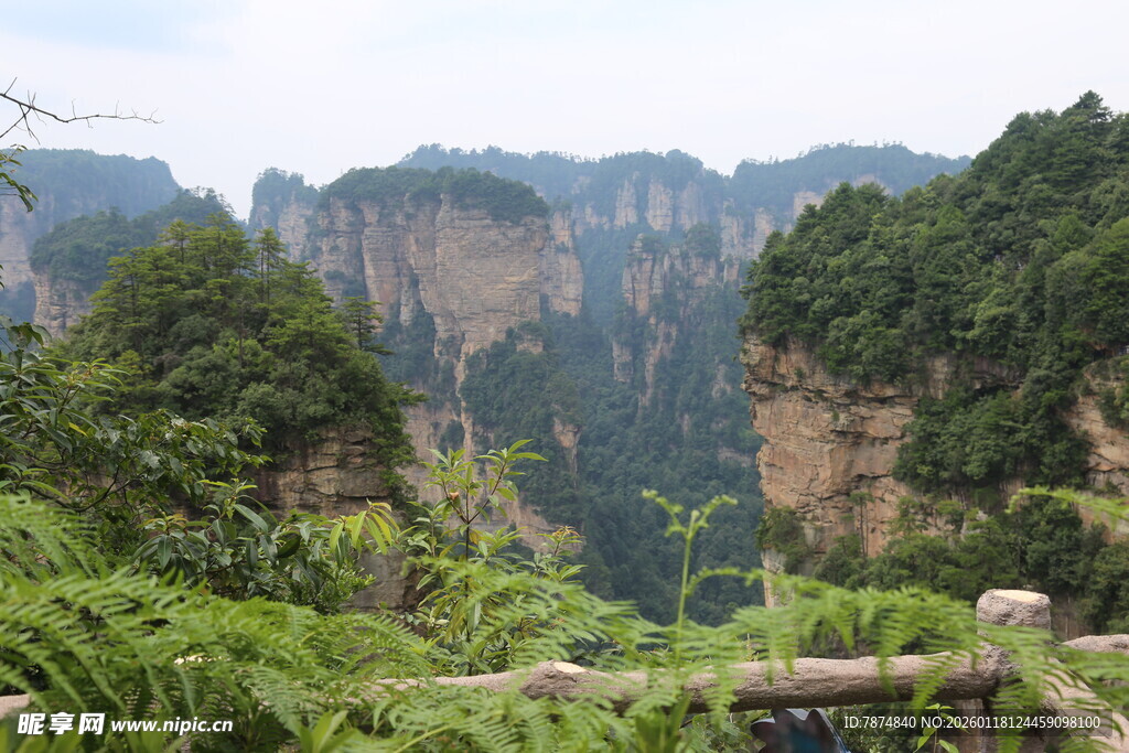 张家界奇峰异景
