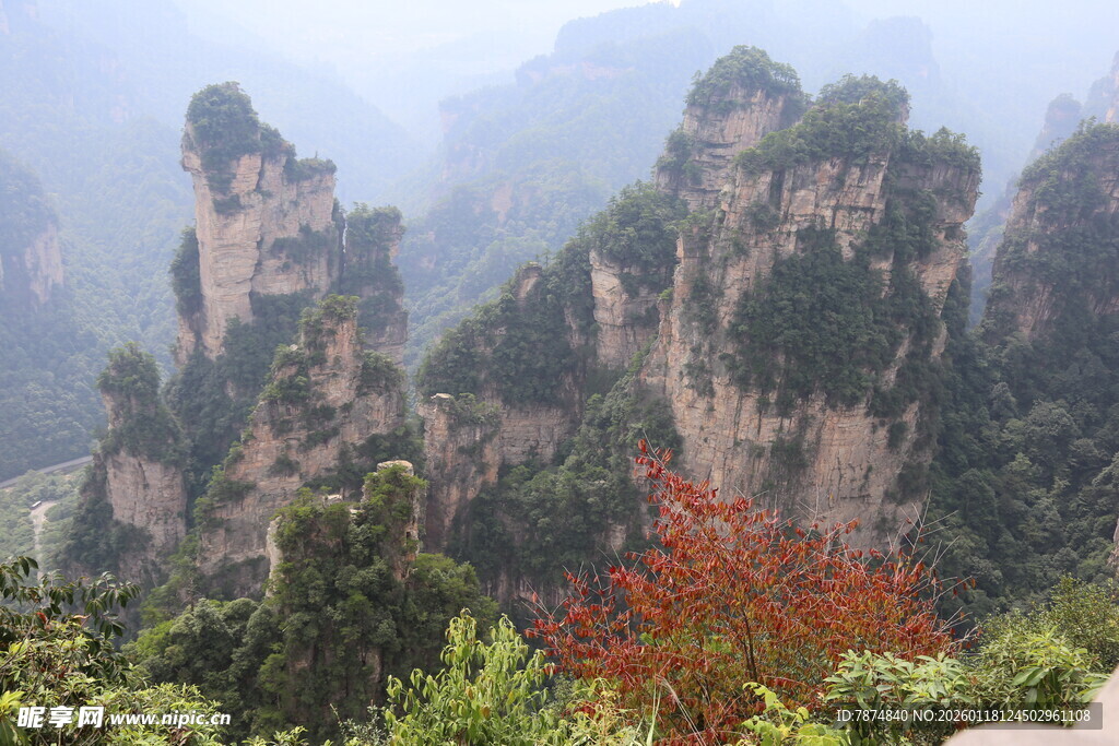 张家界奇峰与艳丽红叶