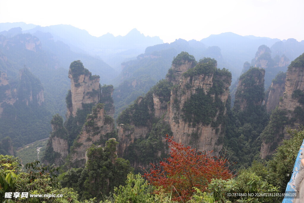 张家界奇峰美景
