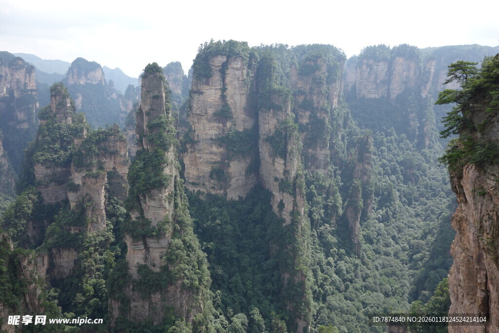 张家界奇峰美景