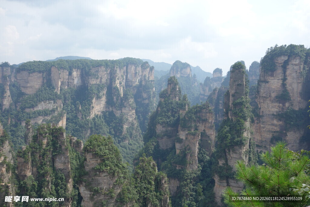 张家界奇峰美景