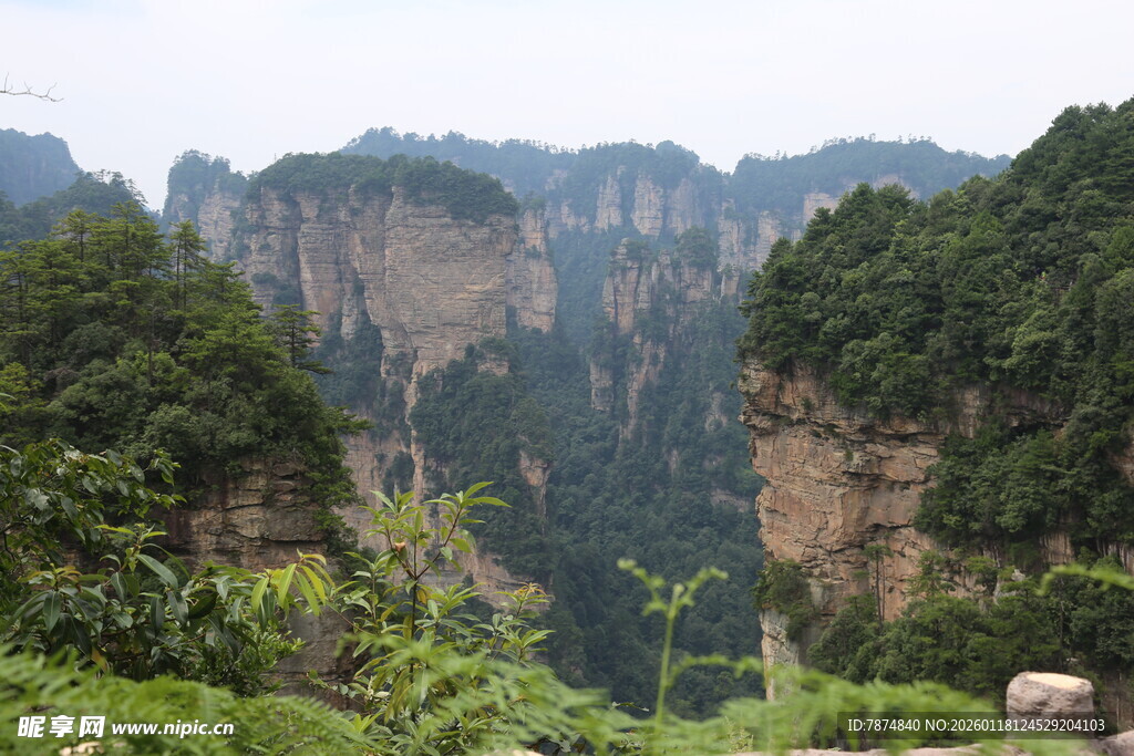 张家界奇峰异石景观