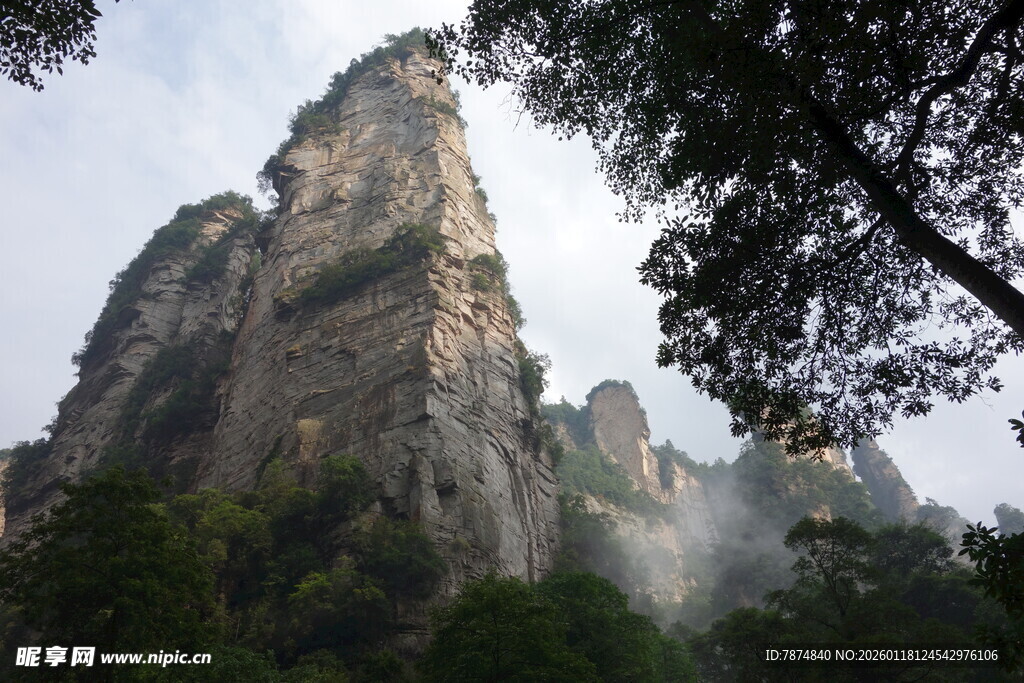 奇峰耸立的壮美山林景观