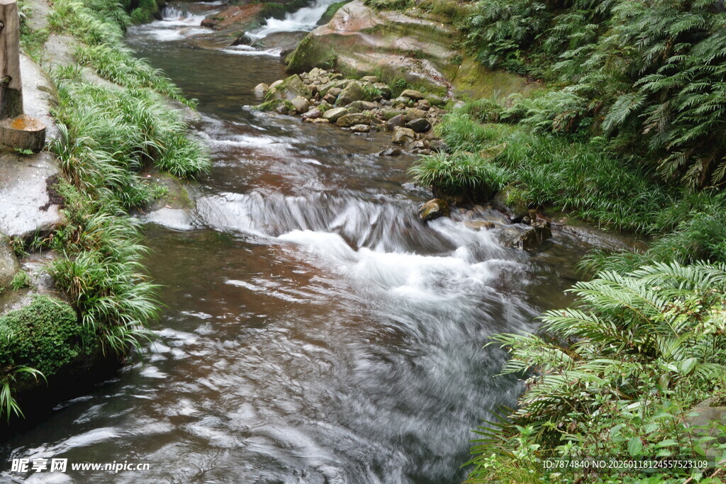 山间溪流 绿意环绕的美景