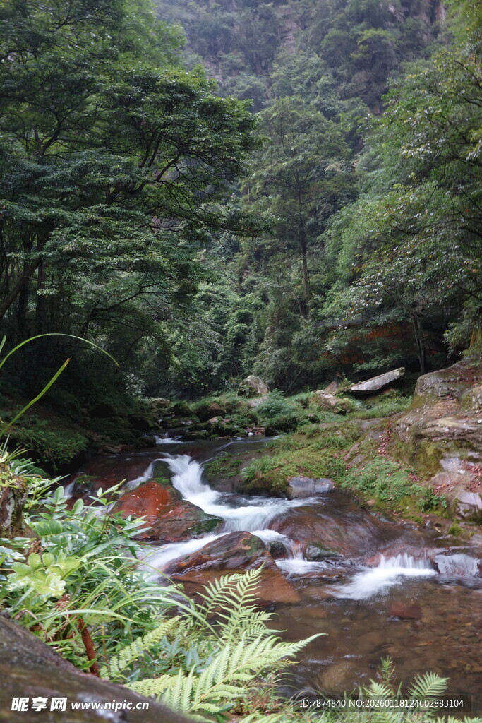 山间溪流 绿意盎然之景