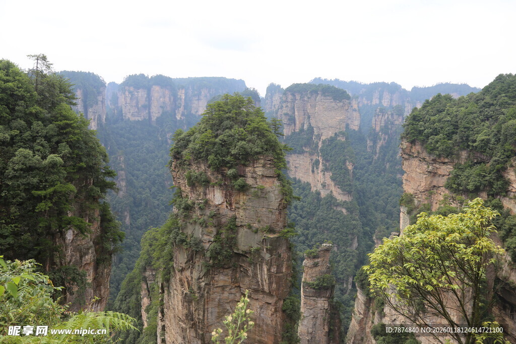张家界奇峰美景