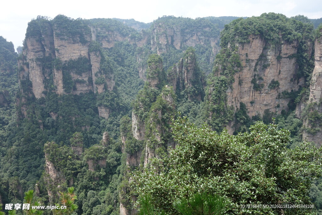 张家界奇峰异石景观