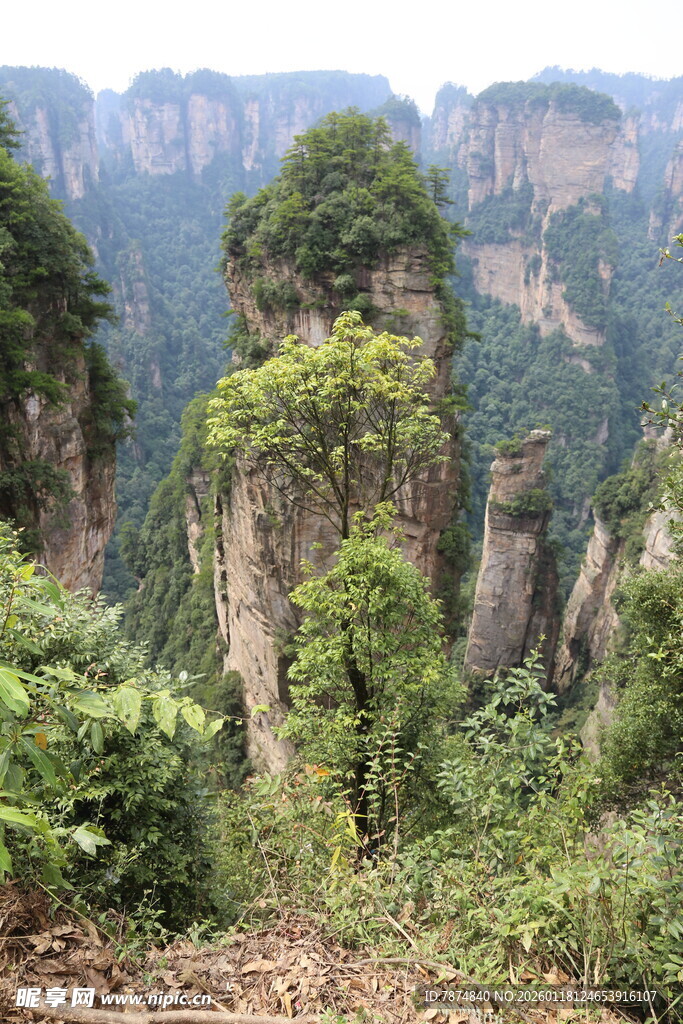 张家界奇峰异石景观